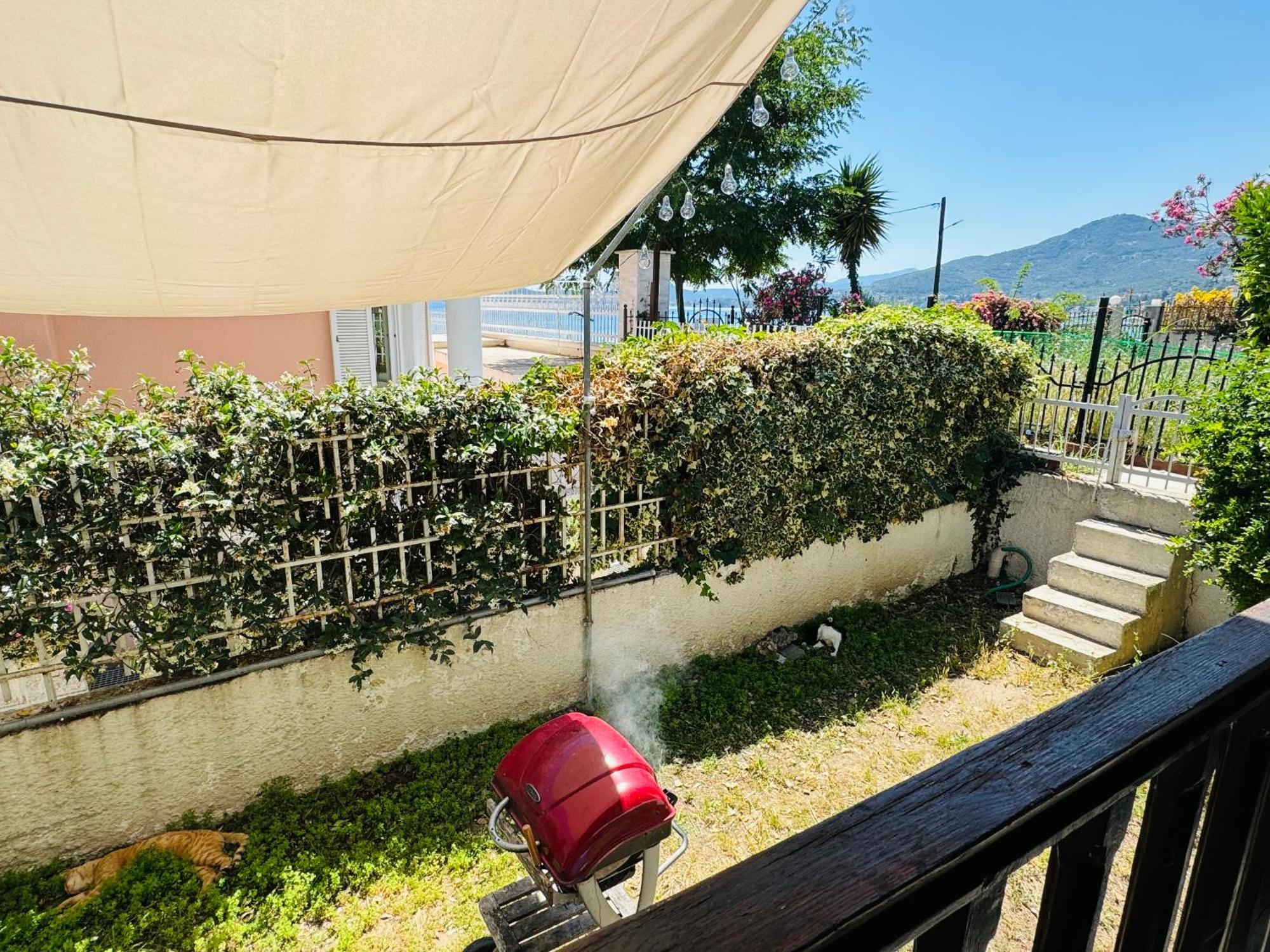 Villa Harmony Palaiontsiflikion Exterior foto